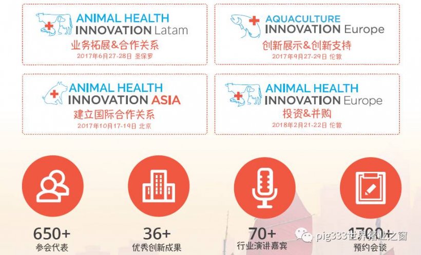 Pig333wechat