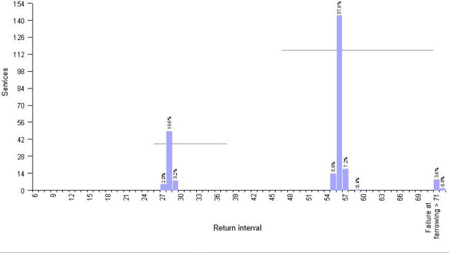 Graphic 1.- Example of 4WBF farm: planning of return sow mating by use of hormones. Average return interval 51,6 days