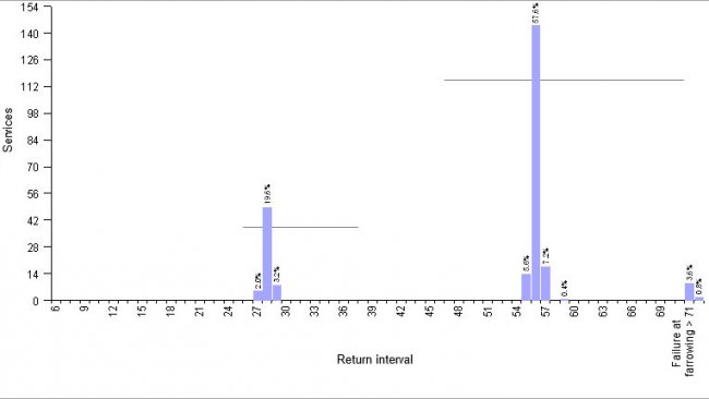 Graphic&nbsp;1.- Example of 4WBF farm:&nbsp;planning of return sow mating by use of hormones. Average return interval&nbsp;51,6 days
