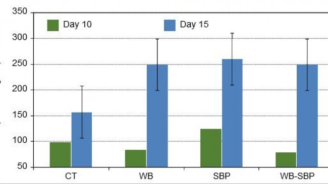 Concentration of short-chain fatty acid on colon digesta of piglets 10 and 15 days after weaning fed 4 different experimental diets