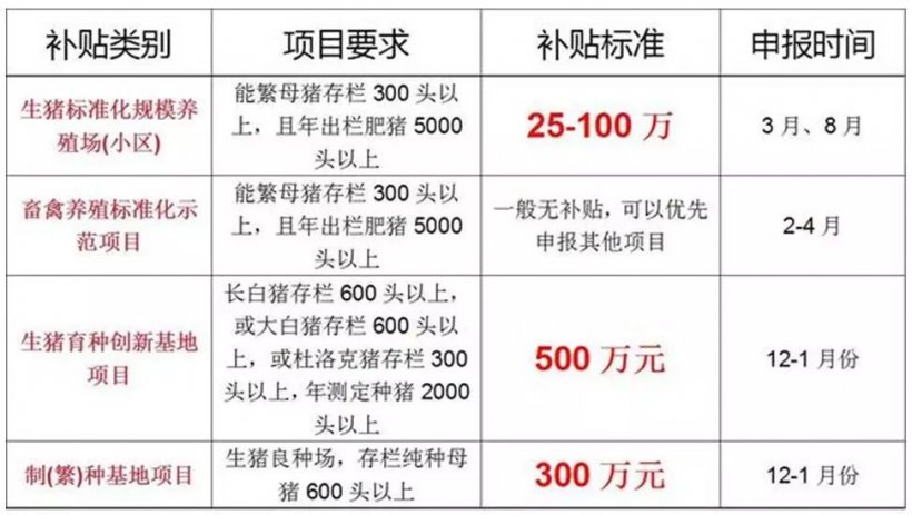 Pig333wechat 2