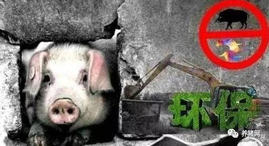 Pig333wechat
