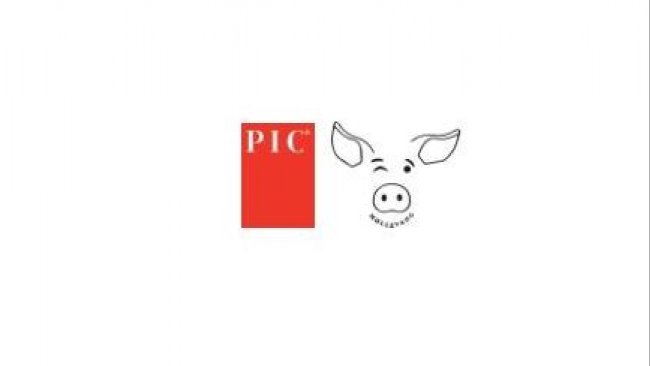 Pig333wechat