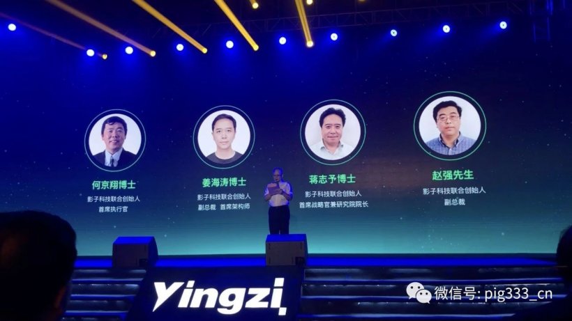Pig333wechat 2