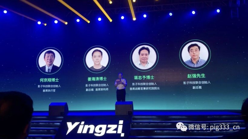 Pig333wechat 2