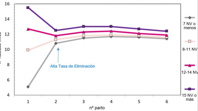 Graph 1. Production throughout the lifetime of the sow according to piglets born.