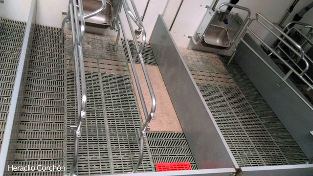 Farrowing pen with plastic floor for piglets and sow.&nbsp;The floor under&nbsp;the sow is denser at the front.
