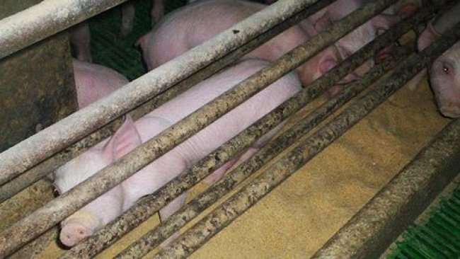 若未很好的划分这三个区域,则会出现问题