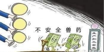 Pig333wechat
