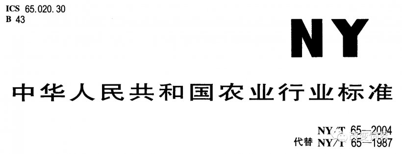 pig333wechat 6