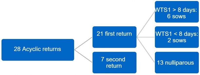 Figure 2. Distribution of irregular&nbsp;returns. Second quarter of 2017. WTS1 = Weaning-to-first service interval.
