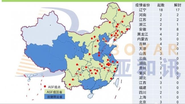 Pig333wechat 1