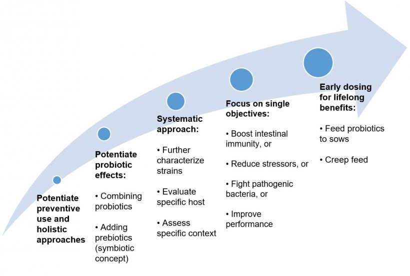 Figure 2. Strategies to improve the use of probiotics in early life stages