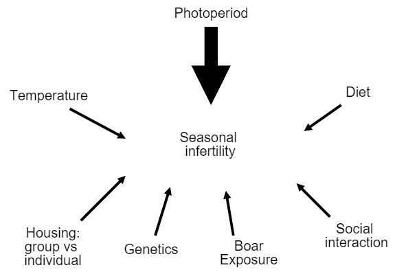 Figure 7. Factors with an influence on the emergence of seasonal infertility.
