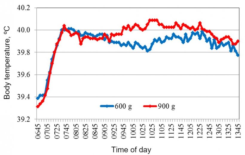 Figure 2. Average body temperature recorded after feeding at 07:00 AM.
