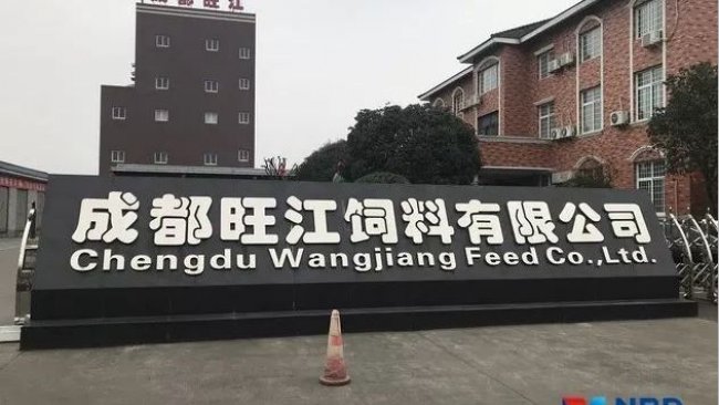 Pig333wechat 2