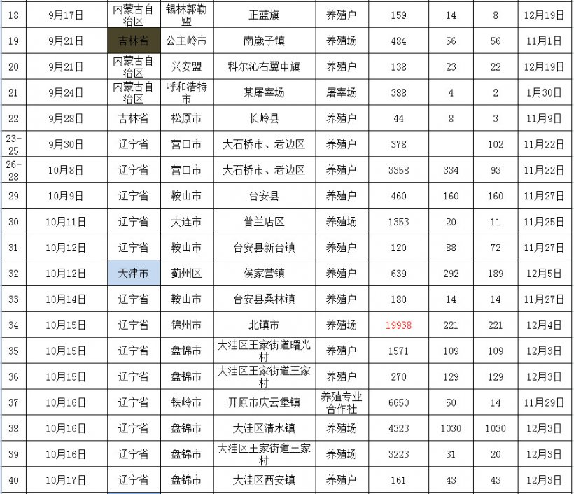 Pig333wechat 2