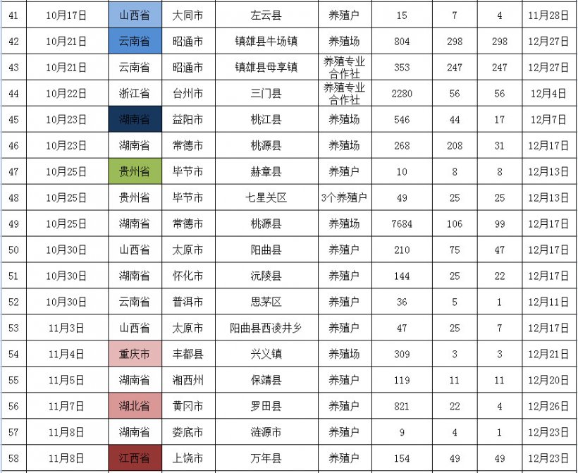 Pig333wechat 1