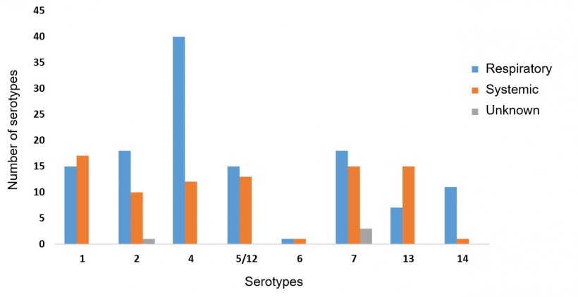Figure 2: Distribution of serotypes of Haemophilus parasuis among respiratory and systemic isolates tested by serotyping PCR.
