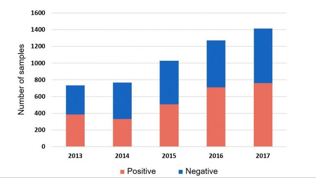 Figure 1: Detection of H. parasuis in systemic samples by PCR from cases submitted in 2013-2017. ISU database 2018.