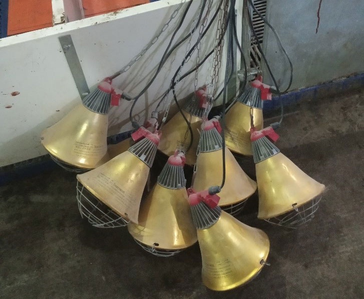 Picture 2: Farrowing lamps incorrectly stored between batches increasing the risk of infrared bulb and electric connections damage (photo courtesy of DanAg International, China)
