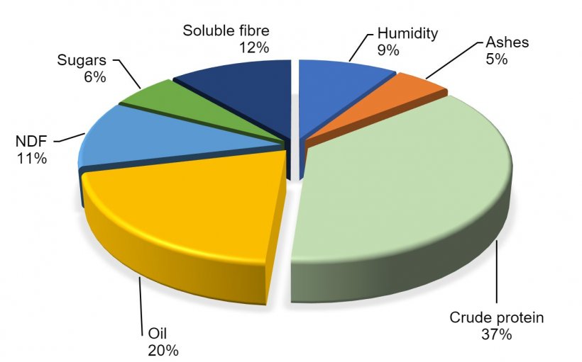 图2.根据FEDNA（2017）的大豆化学成分
