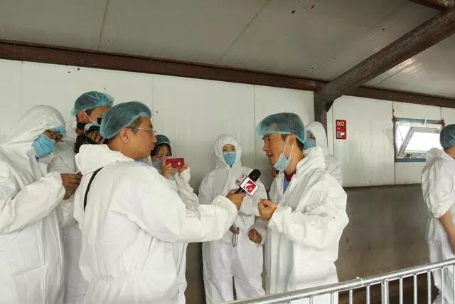 养殖场有严格的防疫管控措施,进出都要穿防护服隔绝外界细菌