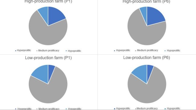 Figure 1. Distribution of the kind of sows, in parity 1 and 6 categorised by the kind of farms considered