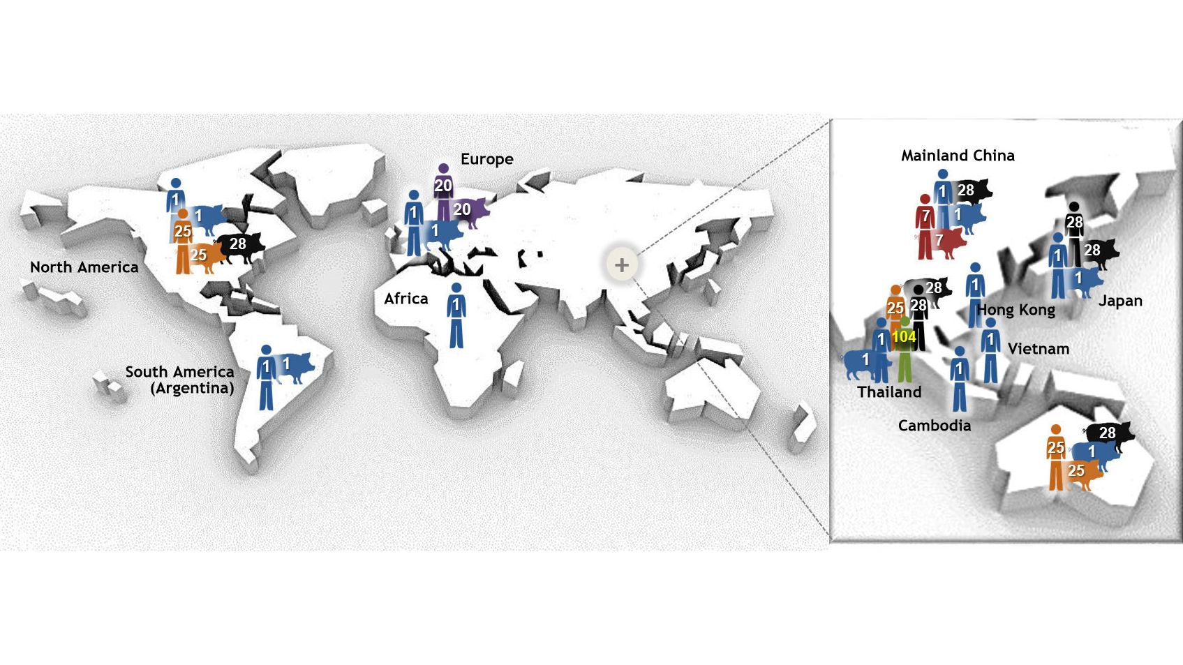 图1. 由多位点序列分型（MLST）确定猪链球菌血清2型的最重要序列类型（STS）。ST1血清2型菌株主要与欧洲、亚洲、非洲和南美（阿根廷）的猪和人的疾病有关。ST7是中国大陆特有的ST1的单基因座变异株。北美的情况不同，猪临床感染ST1的病例很少，仅报道了1例人感染ST1病例。事实上，北美血清2型菌株主要属于ST25（人和猪）和ST28（猪）。后者也与中国大陆、澳大利亚、日本和泰国的猪临床病例有关。日本和泰国是唯一报告ST28人感染病例的国家。除北美外，澳大利亚和泰国也报告了人感染ST25的病例。ST20仅在欧洲流行（大部分在荷兰）。在该图中，不同宿主的数字（1、20、25、28、104）代表不同的ST类型（即ST1、ST20、ST25、ST28、ST104），且不同的ST用不同的颜色表示。图改自：Segura M、Fittipaldi N、Calzas C、Gottschalk M。猪链球菌的主要毒力因子：它们真的很重要吗？微生物趋势。2017年；25（7）：585-599。doi:10.1016/j.tim.2017.02.005，有版权许可。