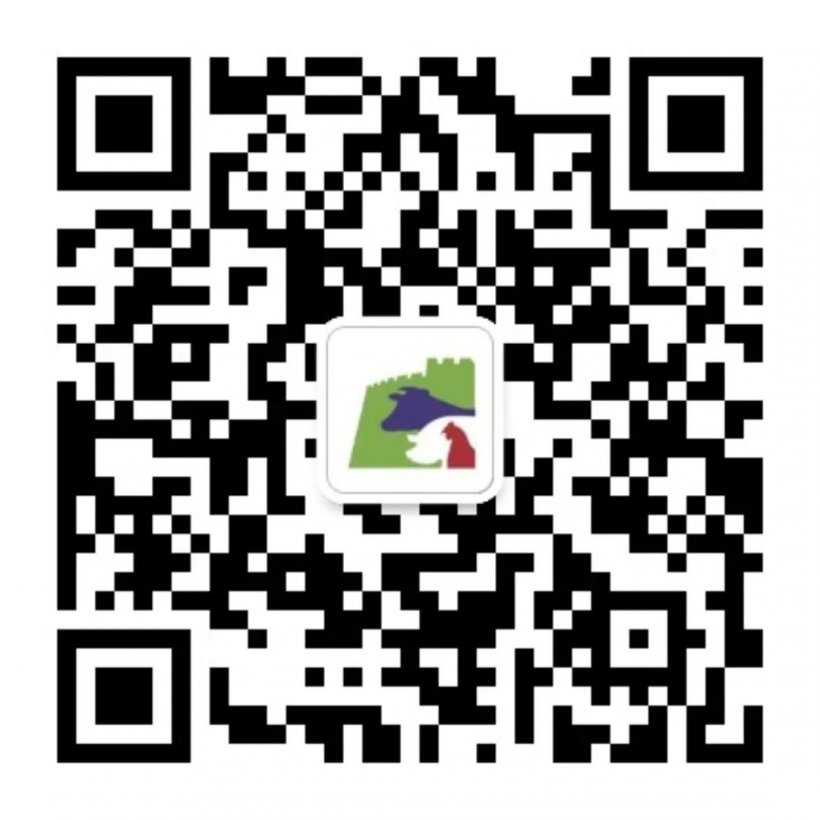 EuroTier China2019 3