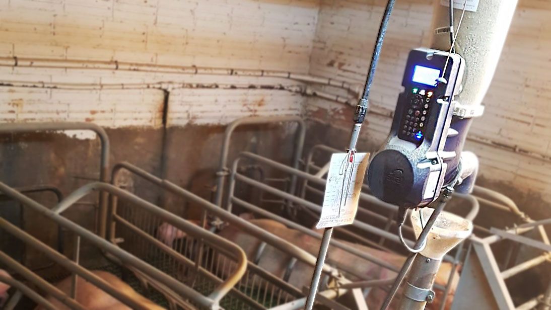 图2：干料电子饲喂系统
