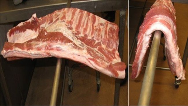 图1.饲喂玉米豆粕日粮的猪腹肉（左）。
饲喂30%高油脂DDGS日粮的猪腹肉（右）。
