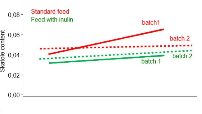 Skatole content (ppm) in both batches using standard feed or inulin supplementation diet on skatole sire Estimated Breeding Value (M. Hortós; J. A. García-Regueiro;  E. Esteve; R. Lizardo;  P. Knap and A. Diestre (2015).