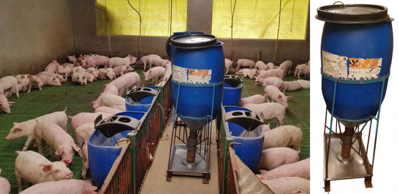 猪场使用的手工制造的喂料器