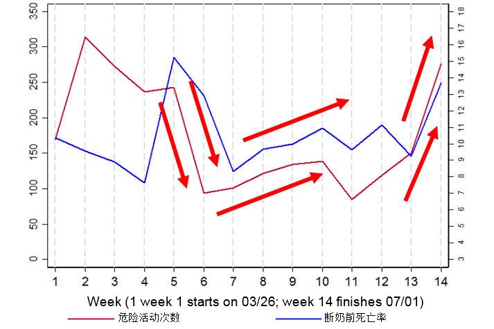 图2.图表显示了断奶前死亡率和“危险”活动次数之间的关联（即进出装载区和/或保育舍的活动），其是其中一个猪场（农场3）在14周期间的数据。