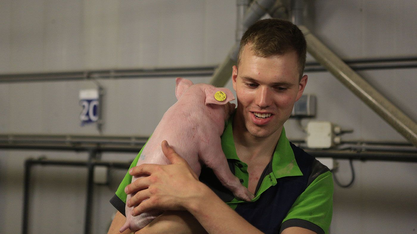 牛世界精猪　 世界十大名猪排名，我猜你只听过两头乌