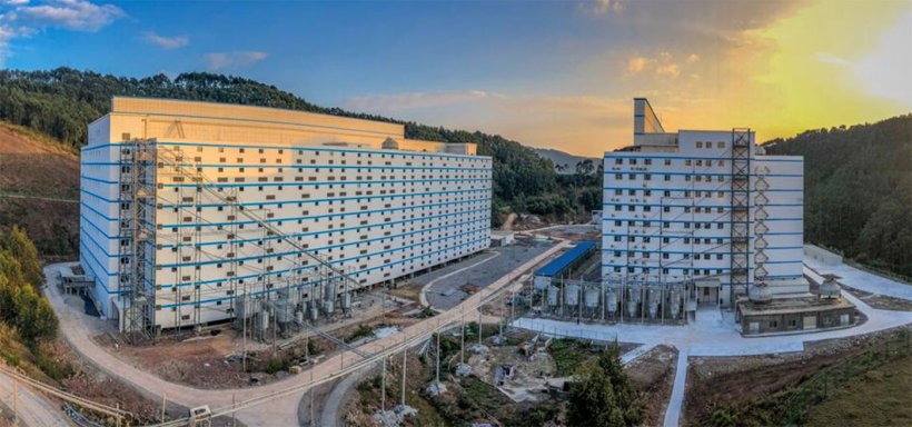 报道:扬翔9层楼房猪场