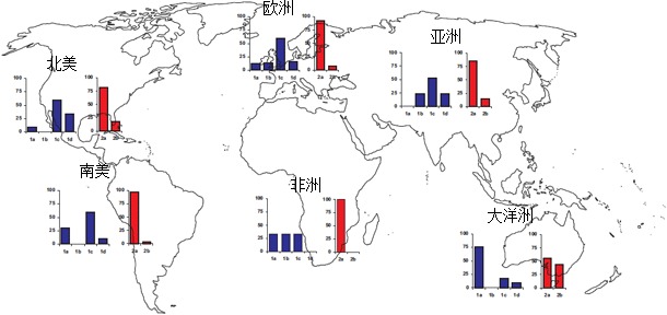 Geographic prevalences of different TTSuV strains