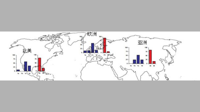 Geographic prevalences of different TTSuV strains