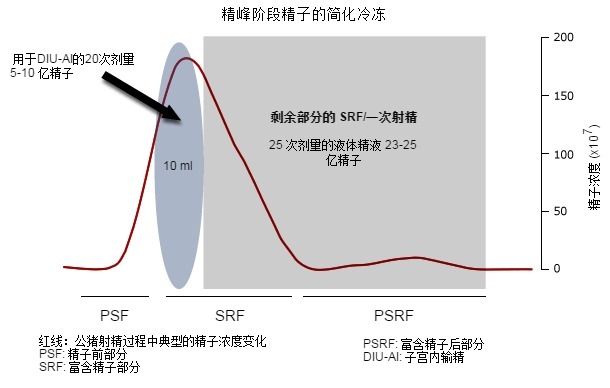 A tipical boar ejaculate presents 3 distinct fractions (PSF, SRF and PSRF) depending –among other parameters of the sperm concentration (here as red line).
