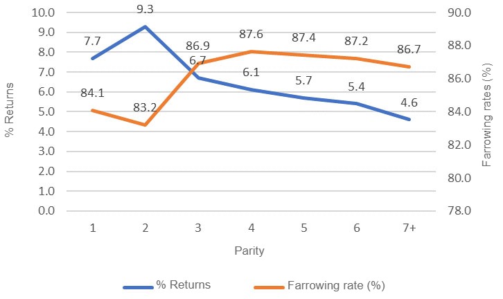 图1：产仔率和返情率，第一次配种，2018年（689,024次配种），PigCHAMP Pro Europa数据库（301,250头母猪）。
