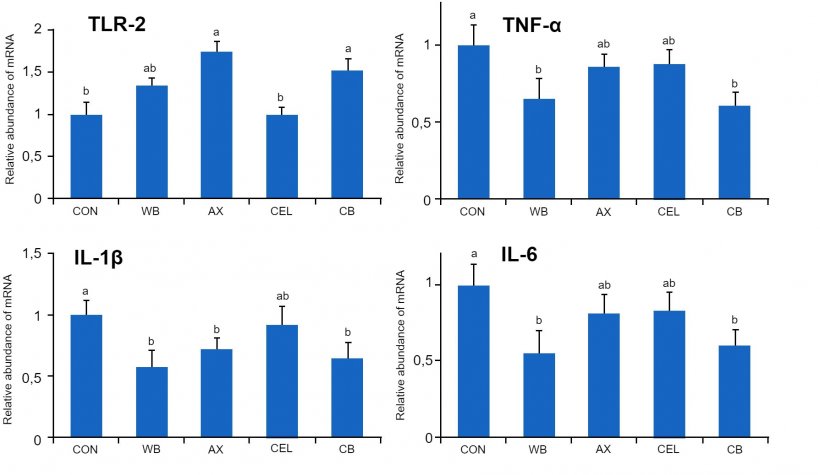 图1.不同膳食纤维来源对断奶仔猪肠道中TLR-2受体和促炎细胞因子基因表达的影响。对照组：不含纤维成分的对照日粮；WB组：补充10％麦麸的日粮；AX组：添加相当于10%麦麸的阿拉伯木聚糖的日粮；CEL组：添加相当于10%麦麸的纤维素的日粮； CB组：添加等量阿拉伯木聚糖和纤维素的日粮。不同组间的均值在统计学上有显着差异（p 
