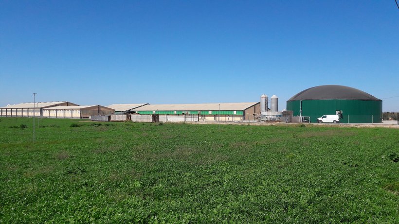 塞格里亚地区（西班牙莱里达）的猪场，以热能和电能的形式生产沼气供内部使用。