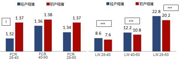 初产母猪和经产母猪保育猪饲料转化效率 (FCR) (g/g) 和活重(LW) (kg) 