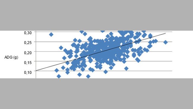出生重与仔猪日增重之间关系