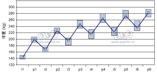 海波尔母猪6胎体重变化