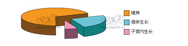 用于维持、母体生长和子宫内生长的能量需求