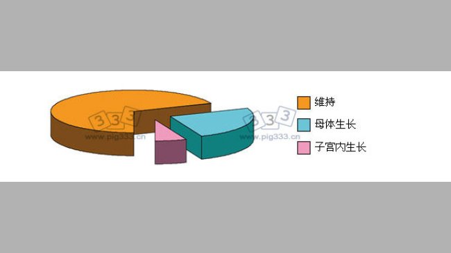 用于维持、母体生长和子宫内生长的能量需求