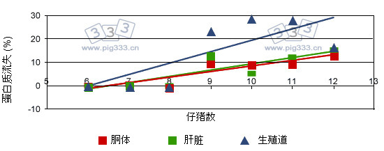 胴体、肝脏和生殖道在泌乳期的蛋白流失