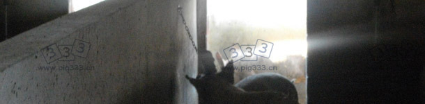 Manipulable materials